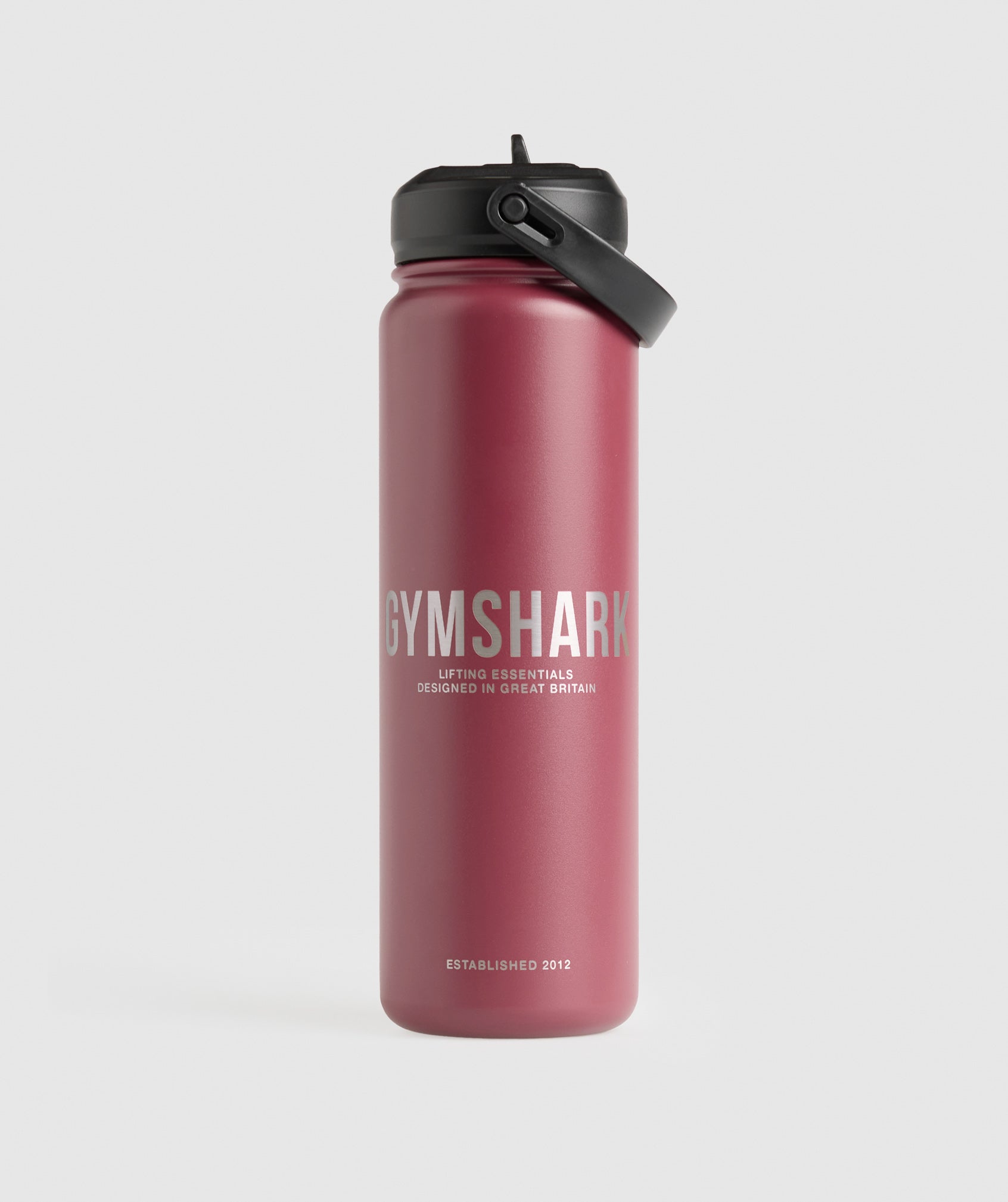 Metal Insulated Straw Bottle 700ml