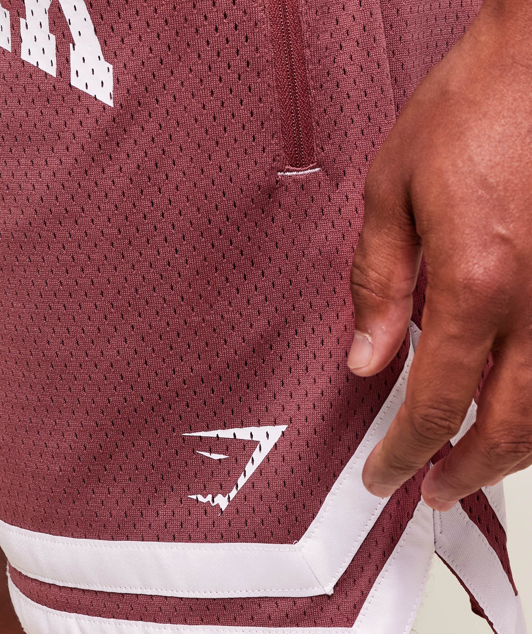 Varsity Mesh Shorts